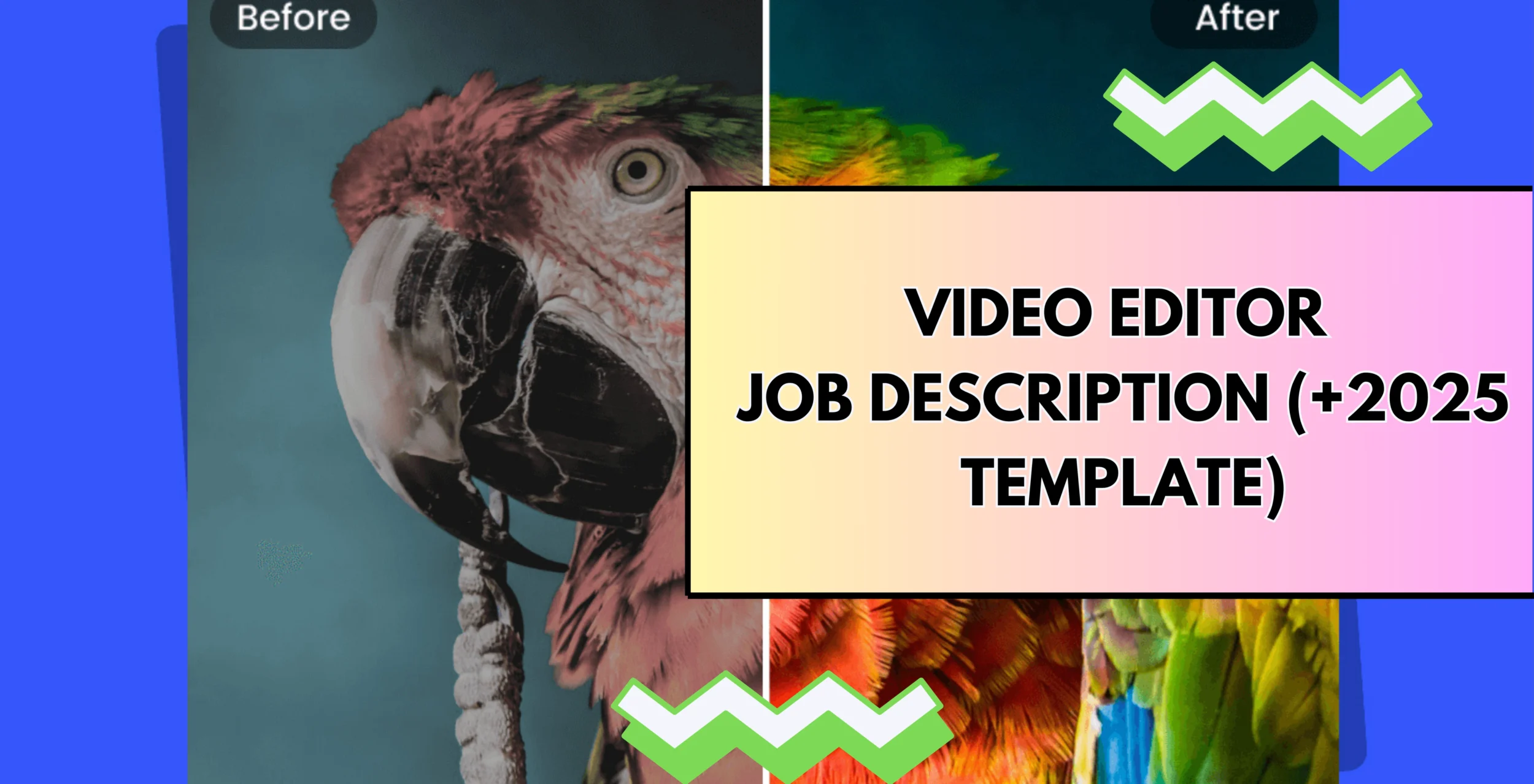 video editor job description template